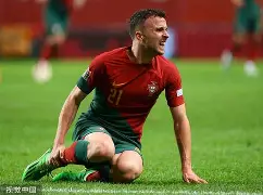 波茨坦是哪个国家